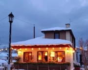 Güvercinin Sırrı Masalı G vercinin